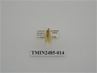 藏品(半明苔蛾)的圖片